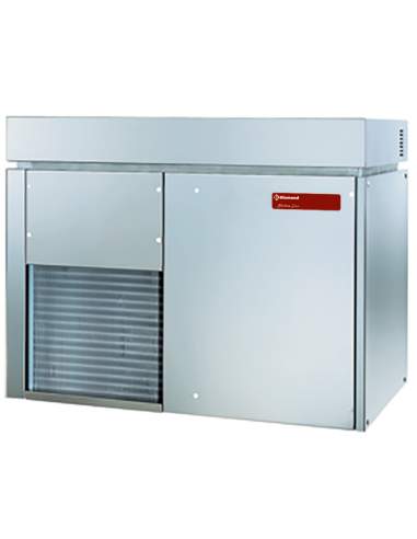 Machine à glaces paillettes 900 kg ( sans réserve ) - EAU