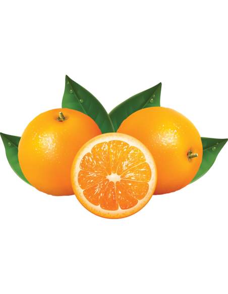 Presse-oranges automatique - compact