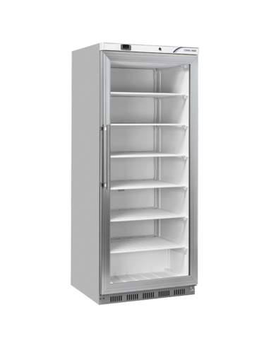 ABS s/s freezer upright