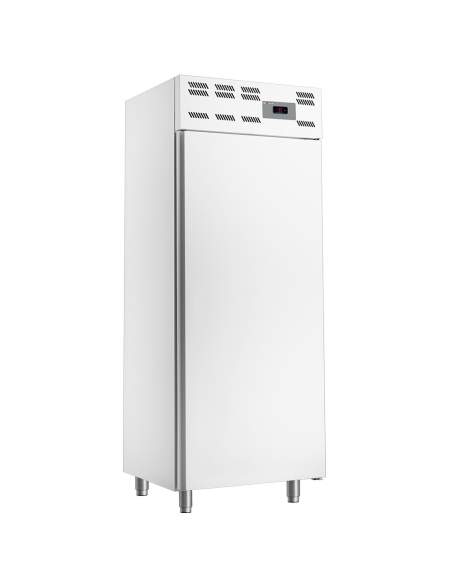Armoire frigorifique 20x EN 600x400, ventilé (500 Lit.) - Skinplate blanc