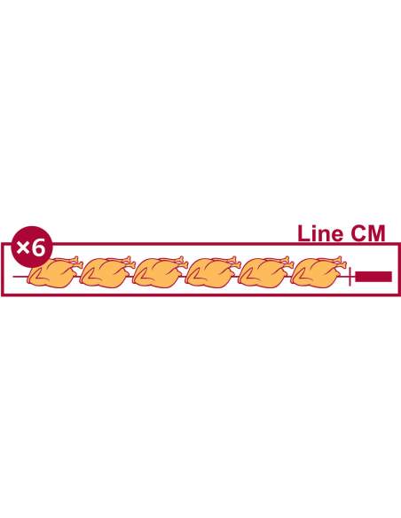 Rôtissoire gaz 4 broches (24 poulets)